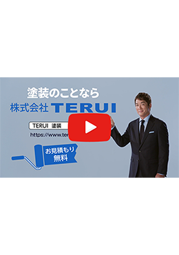株式会社TERUI 利用例 テレビCM